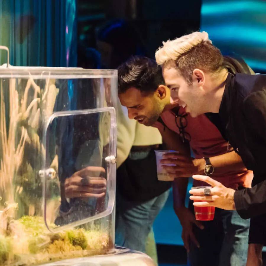 NightLife at the California Academy of Sciences